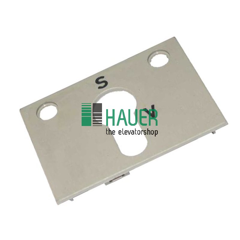 Abdeckung 50*70  grau, für Schlüsselschalter, Gravur S-V, für 2 Linsen