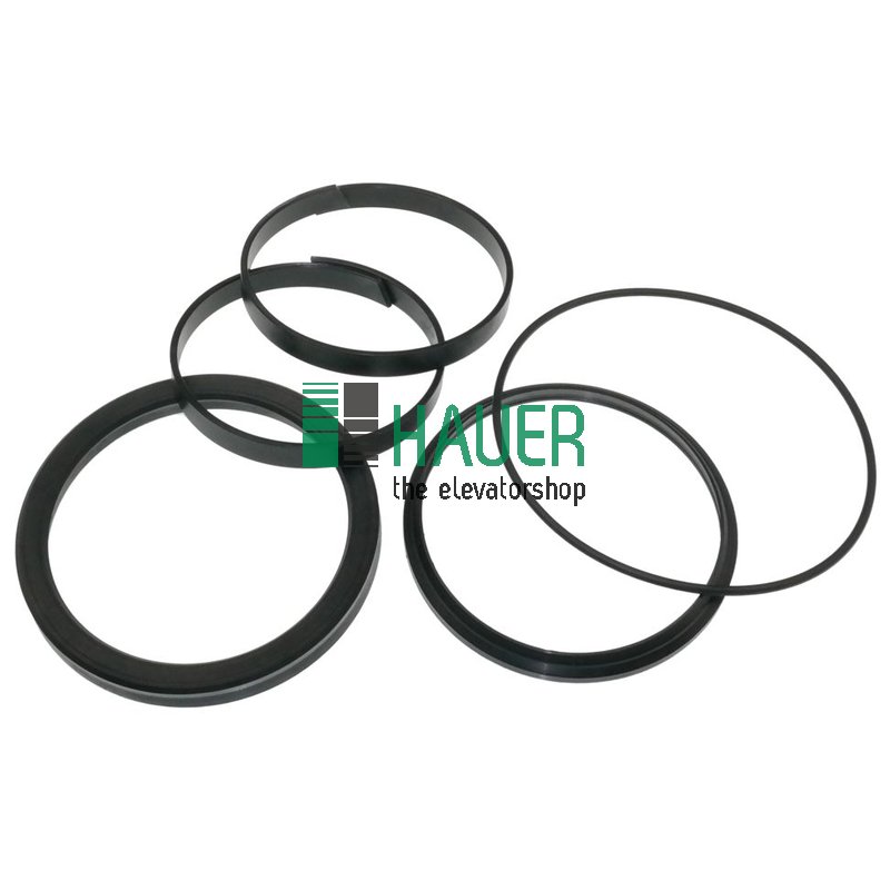 Dichtsatz für Heber N110/5, d=110mm