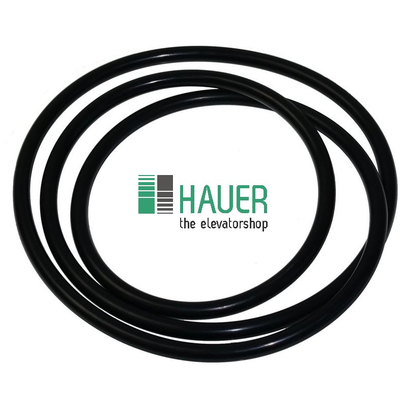 O-Ring für Getriebedeckel Typ AW006 GH 04398, d=412mm