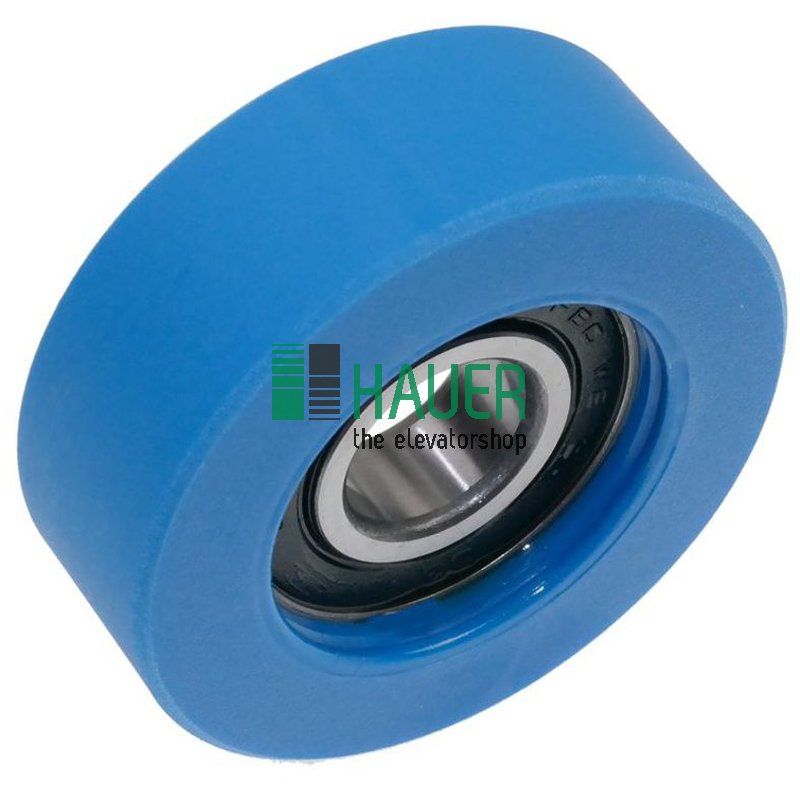 Stufen u. Kettenrolle D70/20*25 Lager 6204 2RS PAS-PU95