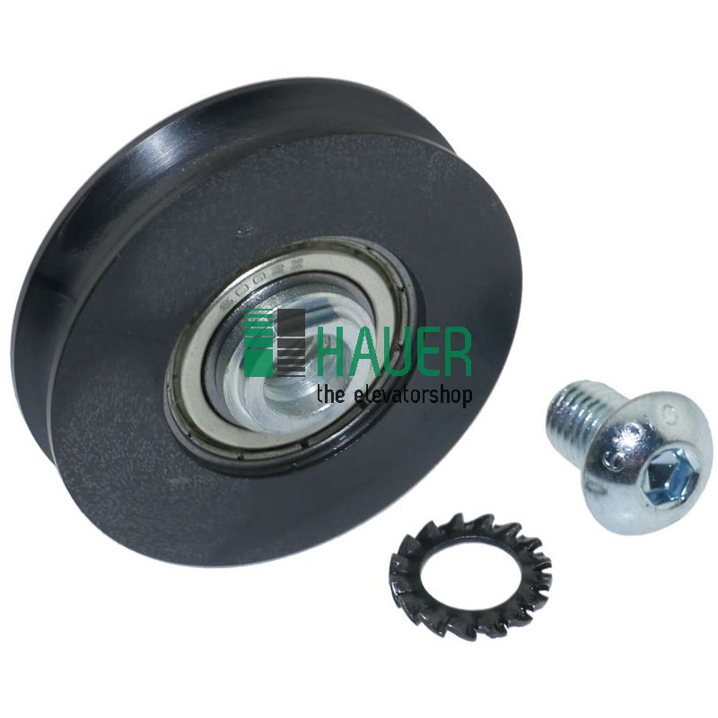 MP, Rolle 55x12mm, Set=5 St.