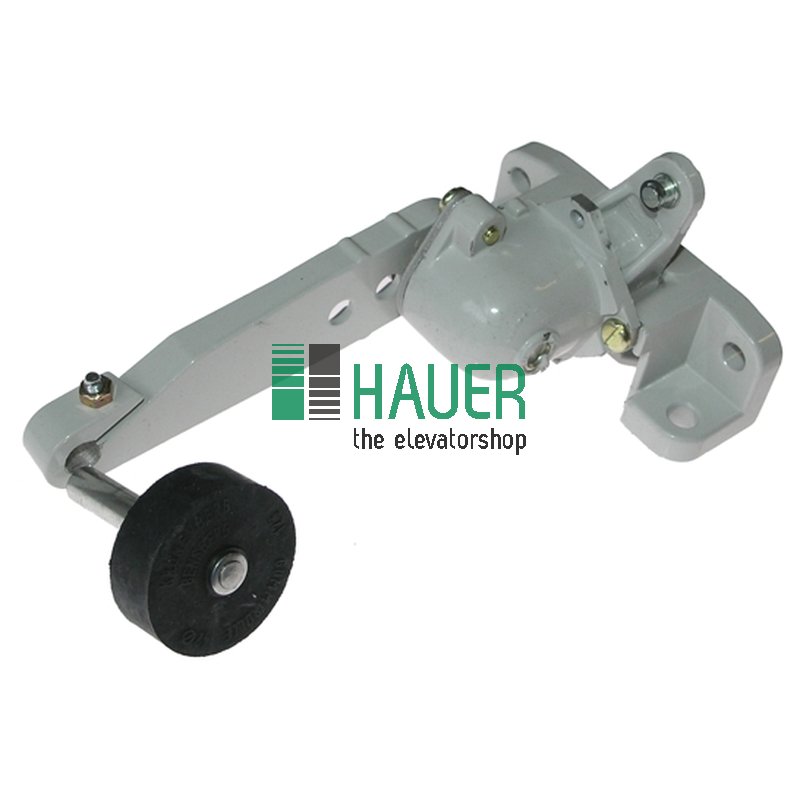 Delection device type U-L-RH-G60  for door lock