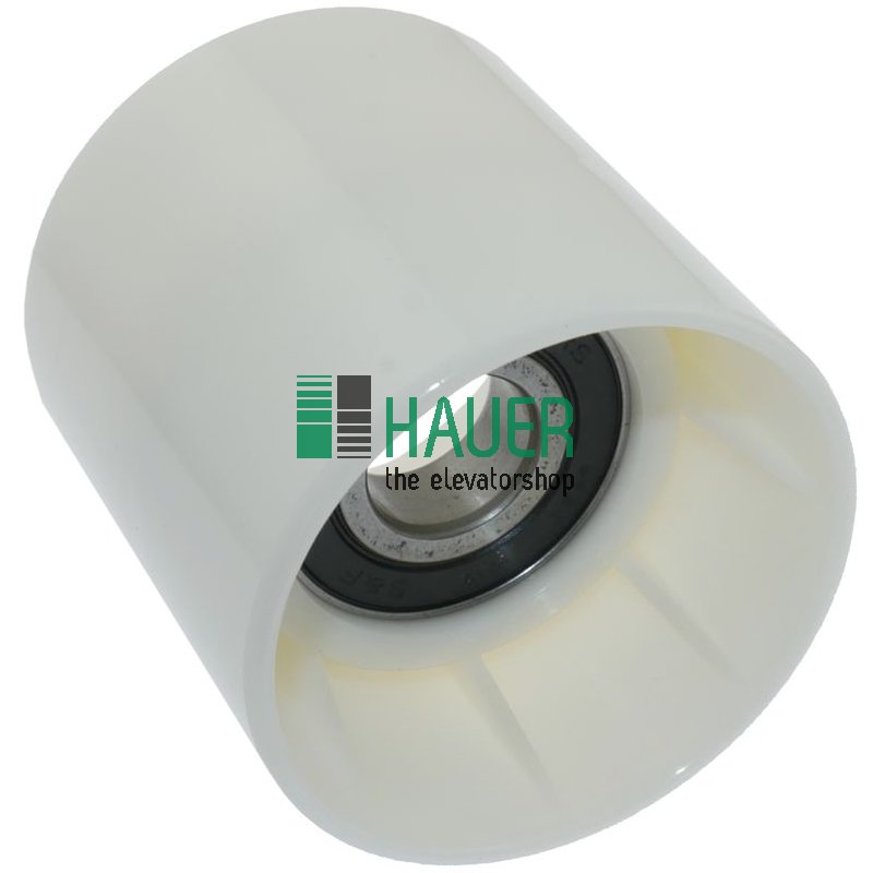 Rolle komplett D70   (LAGER 6204RSR)