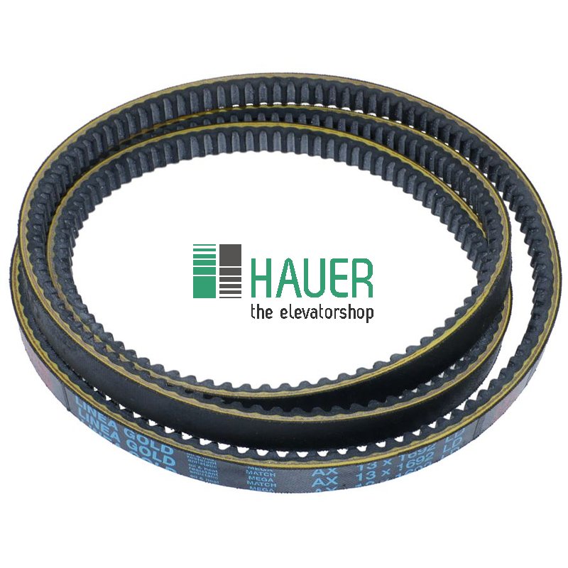 Belt AX65 Linea Gold, AX 13x1692 Lw/Ld