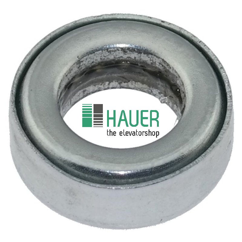 Lager für Bauer Tür DT1