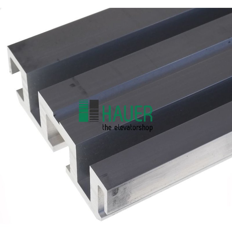 L2S2, Schachttür, Schwelle Länge: 1070 mm