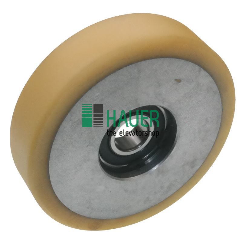 Galet D125/20*30