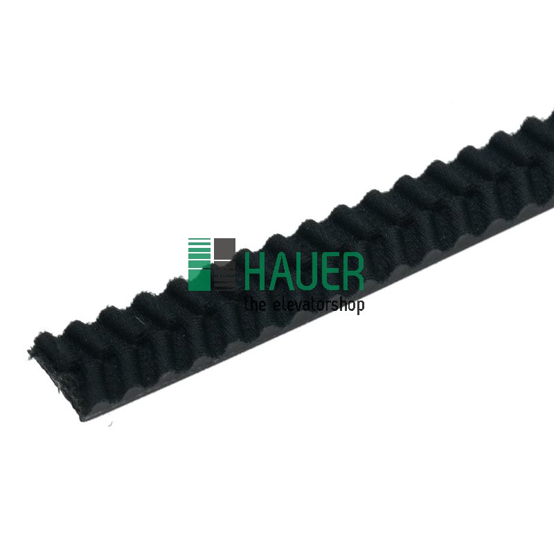Eagle Riemen Premium Tür TB=900