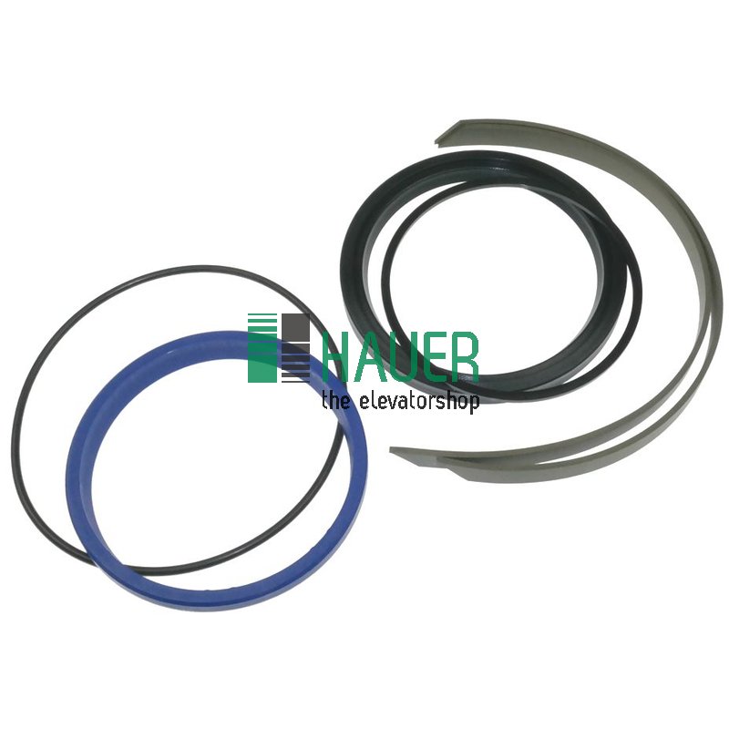 Dichtsatz für Hydraulikheber A9753A/B, d=100