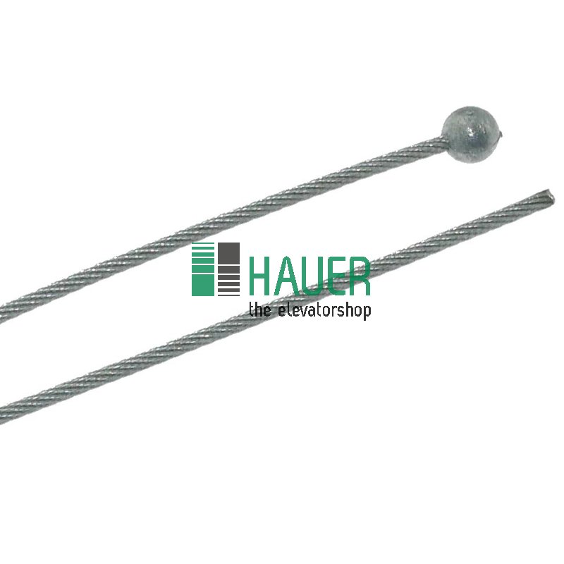 Cable de conexión, l=3000mm