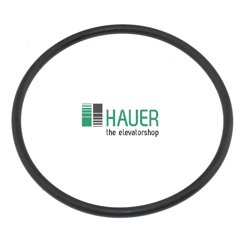 Haltegummi für Kunststoffdiffusor der Kabinenbeleuchtung