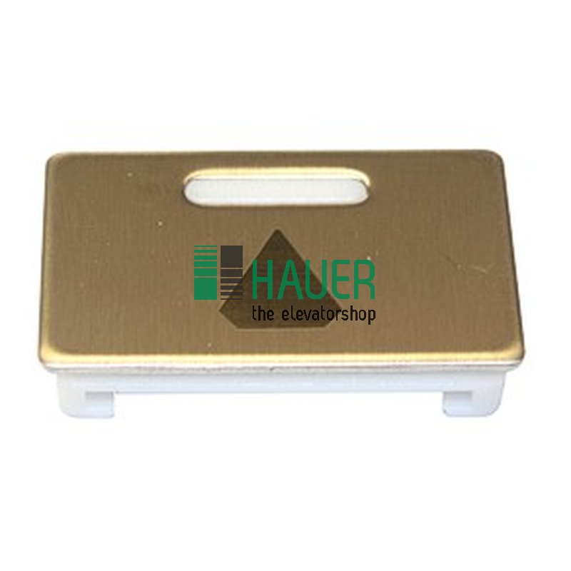 Boton poussoir Delta insert fleche mont