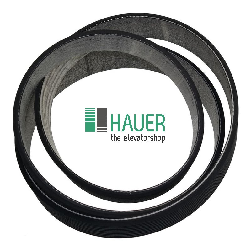 Poly-V-Riemen 1841mm, 10 Rippen