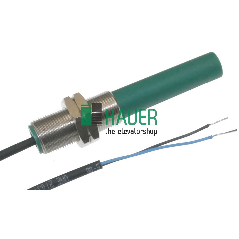 Magnetschalter SAC1