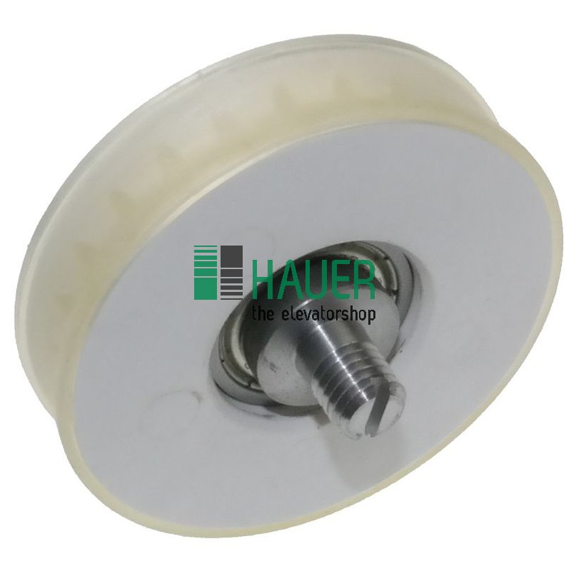 Door roller door suspension