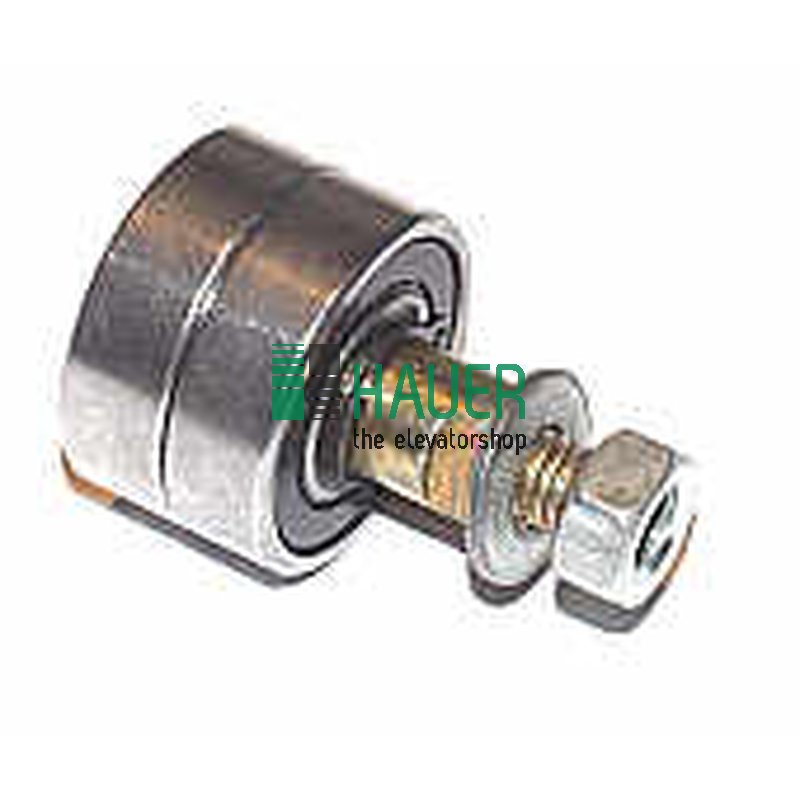 Rolle D32/M8*46.8 mit 2 Lager