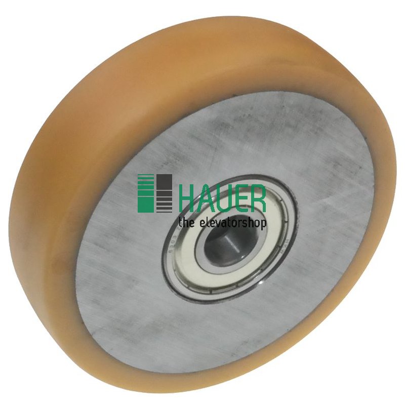 Galet D125. 2 coussinet