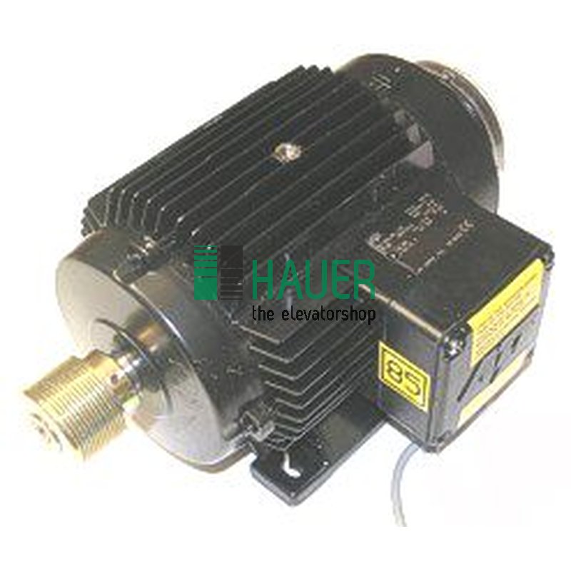 Moteur 50Hz pour op. de porte avec 2 vitesse