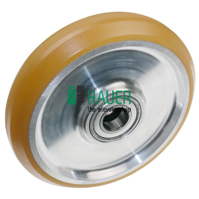 Guide roller VAL 150/20*30, 2 bearings 6004ZZSKF