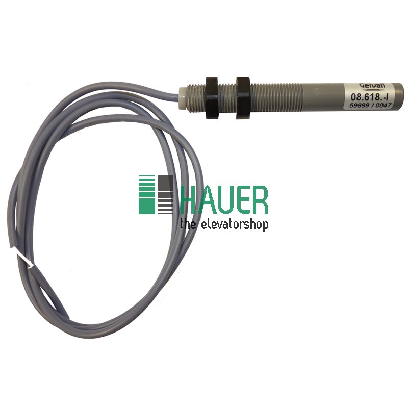 Magnetic detector switch