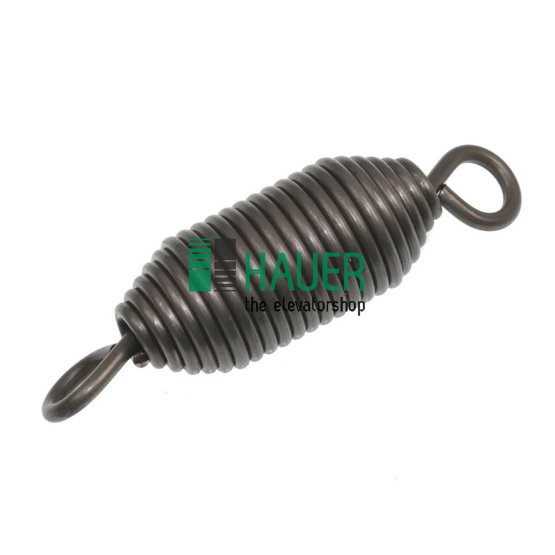 Drehtür Modell DT17, Zugfeder