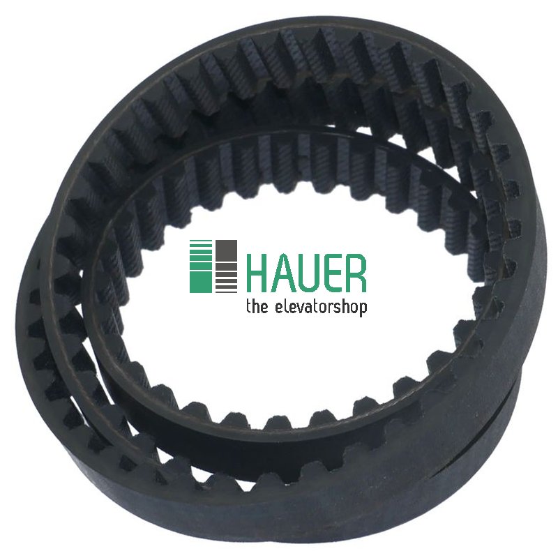 Belt 150-S8M-800