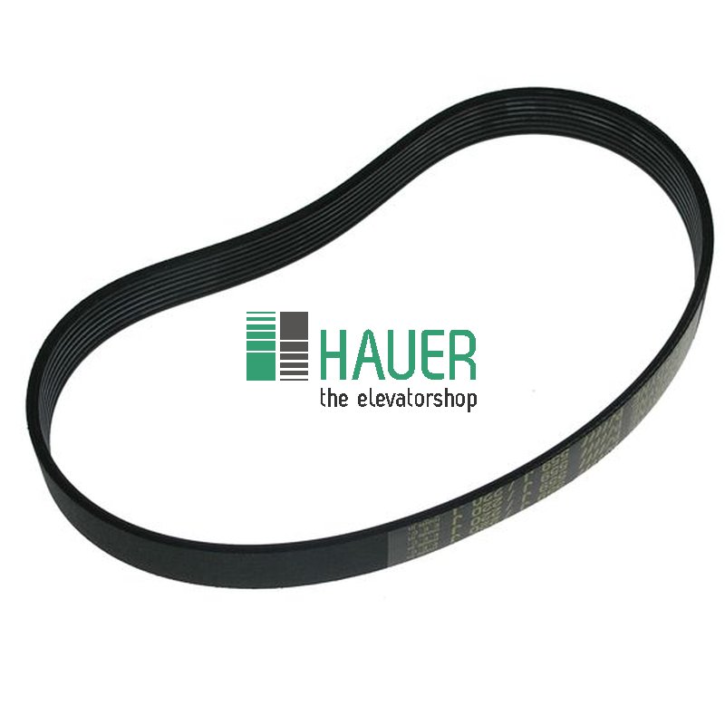 Sematic motor belt (PolyV, 7 grooves)