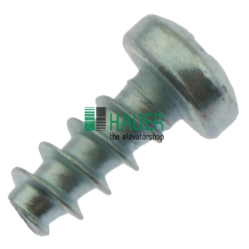 LI-Schraube PT-WN1412-2.5X6-10.9-A2K-H