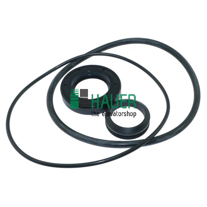 Set Dichtungen für Antrieb W54