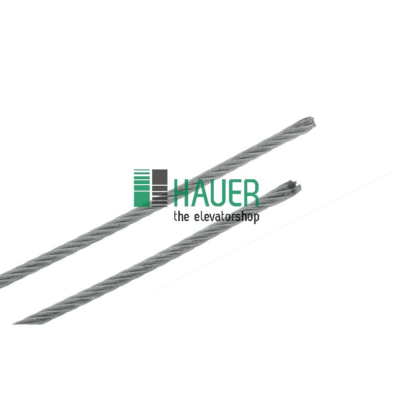 Türseil TTK8 / TTS8 / TTK5 und TTS5, TB=800mm, ab Bj. 1982