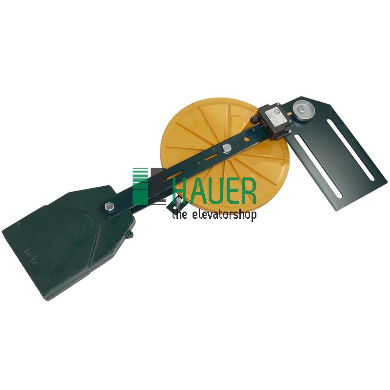 Spanngewicht Typ R4KE, d=300, 13kg
