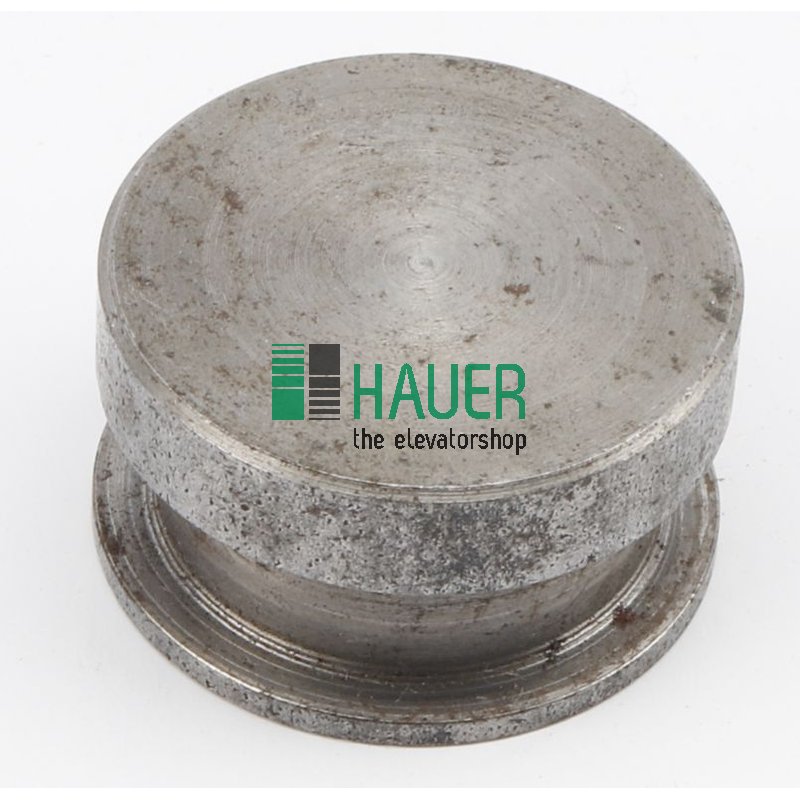 Déviateur de corde pour la suspension du panneau de porte S5/S7