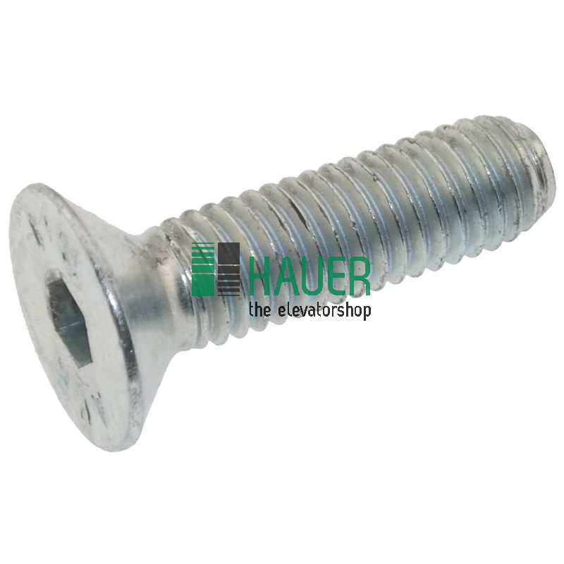 Schraube TPSEI M8*30 uni 5933 10.9