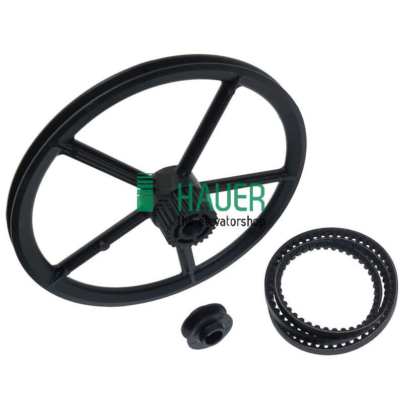 Poulie de transmission 220/36 avec courroie 900LD/8*900LI