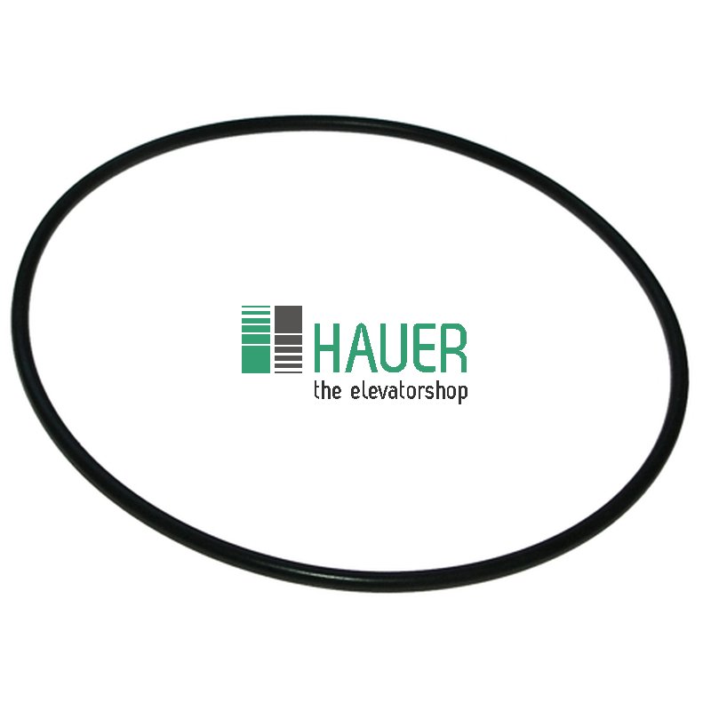 Dichtsatz für KA 60, O-Ring 100x3 37 PAB 769