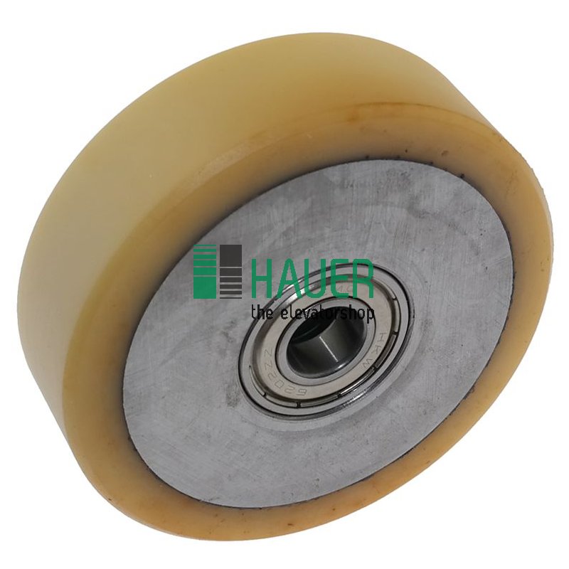 Galet D100/15 * 30, 2 roulements