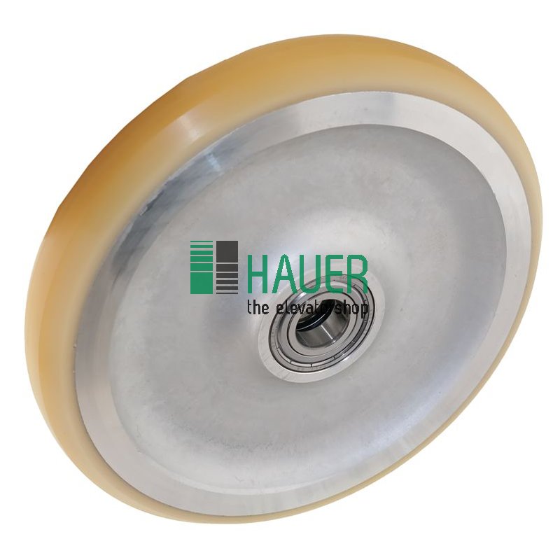 Guide roller D200/20*30