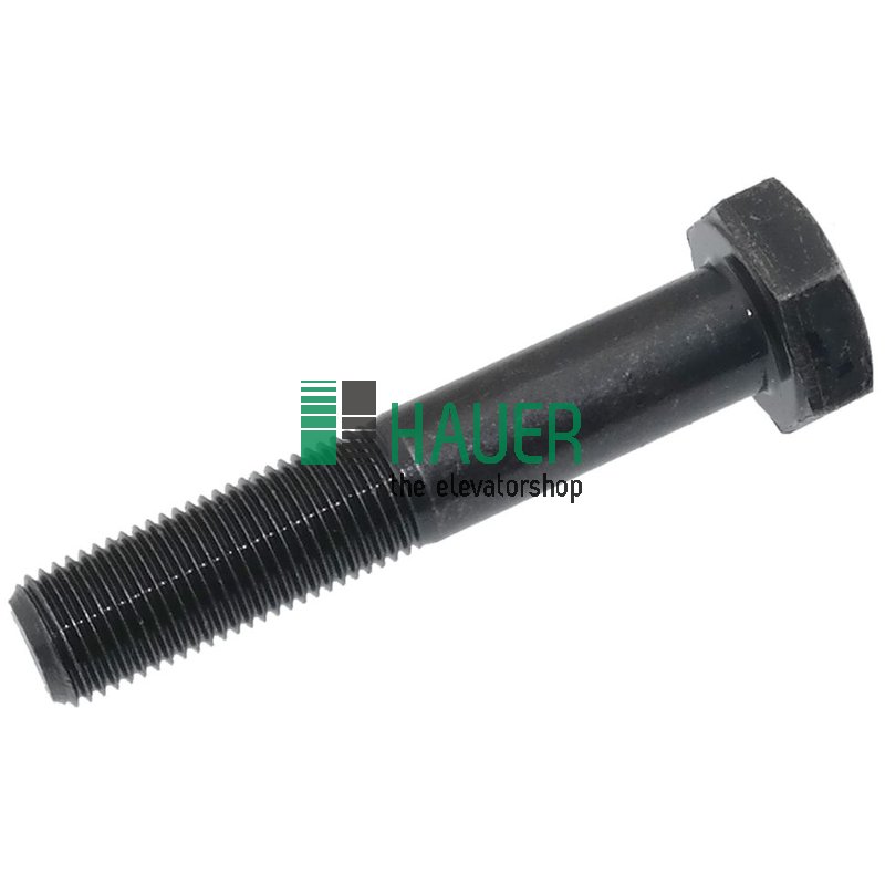Bolzen mit Gewinde für Bremse, M10x55mm, DIN960 8.8