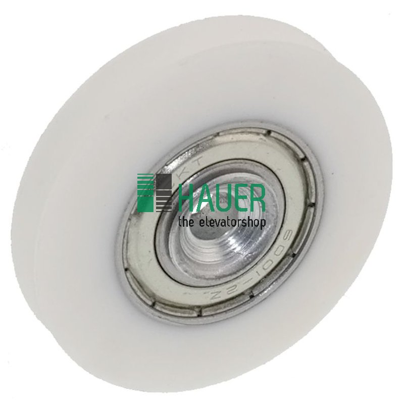 Door rope pulley