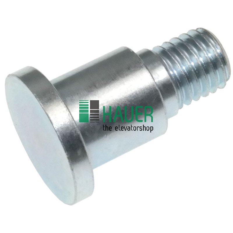 Achse D12 für Türrolle 616210050, 616210060