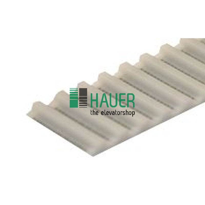 Correa dentada AGSI RPP5, L=100m