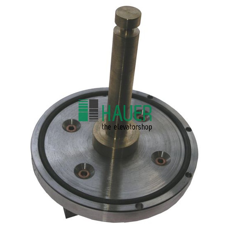 Brake plate for Z110 D brake= D315
