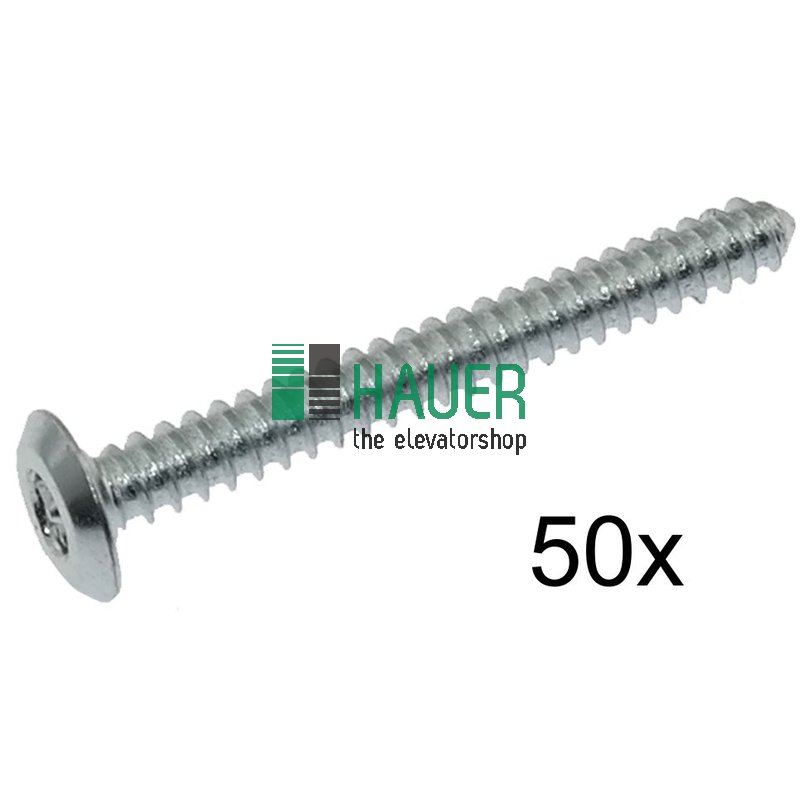 Shield Schraube M5x45  Set = 50
