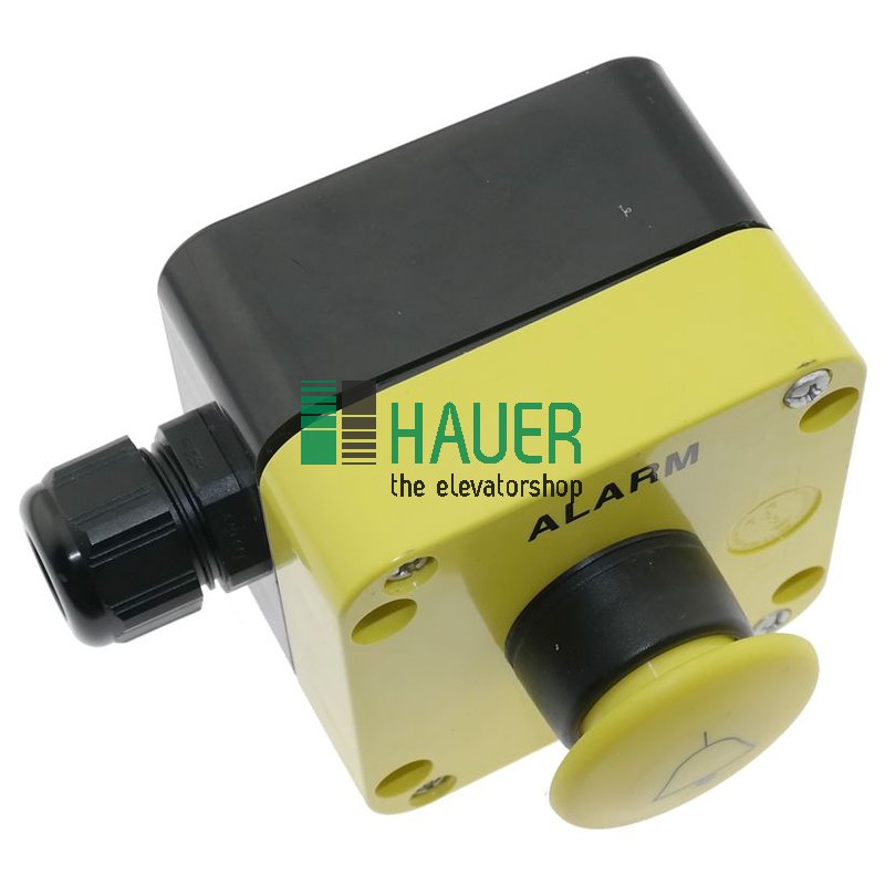 Alarm push button