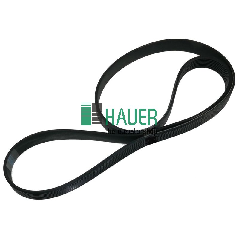 Belt 8PJ1092