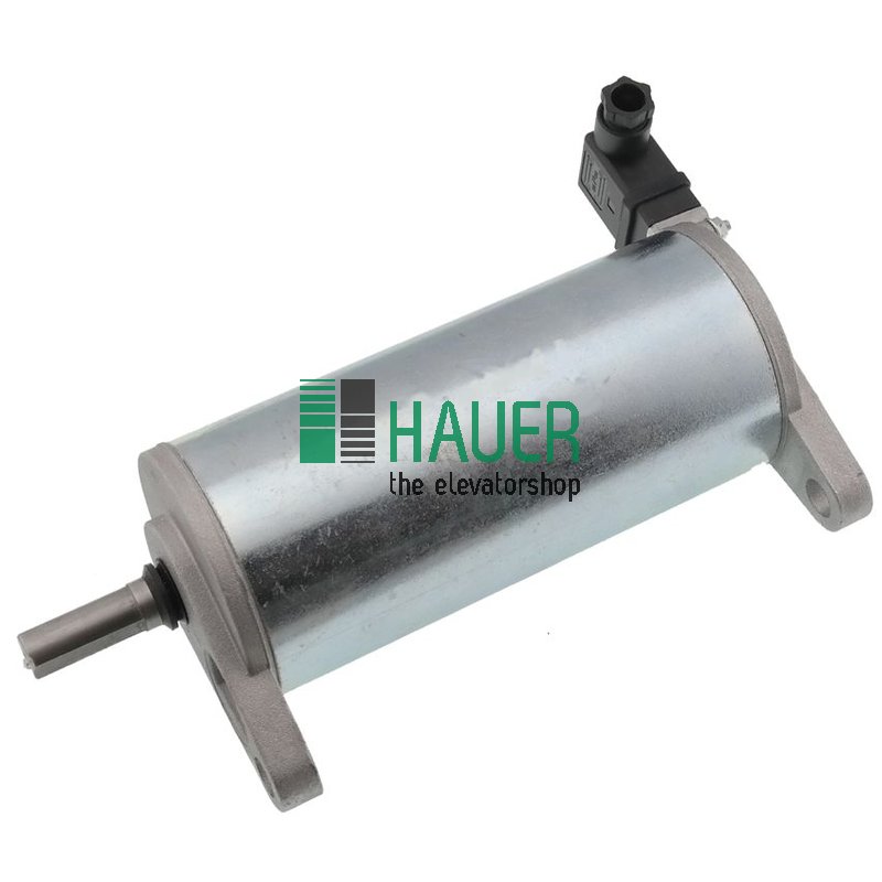 Moteur 250W 1600Rpm, 48V
