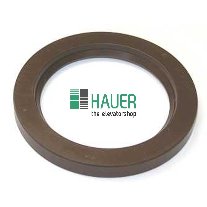 10AT,Oil seal
