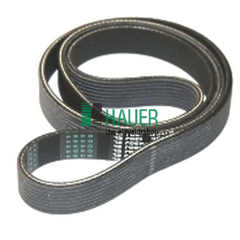 Belt 8PJ1150, for door drive W7 BG A