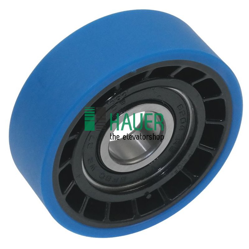Stufen- und Ketten Rolle 76*25 Lager 6204 2RS PAS-PUPA 95 A-H