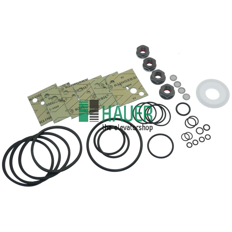 Algi, Dichtungssatz zu Hydraulikblock AZSTB-III